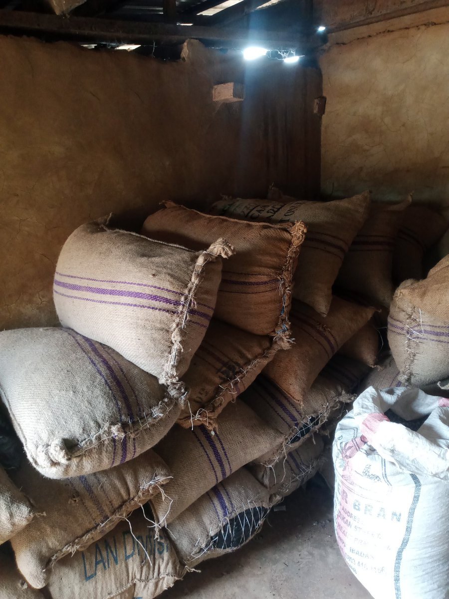 Cocoaworld02's tweet image. Cocoa...my business my passion.
I produce, I buy and I sell.
#cocoafarmer
#cocoabuyer
#cocoabusiness