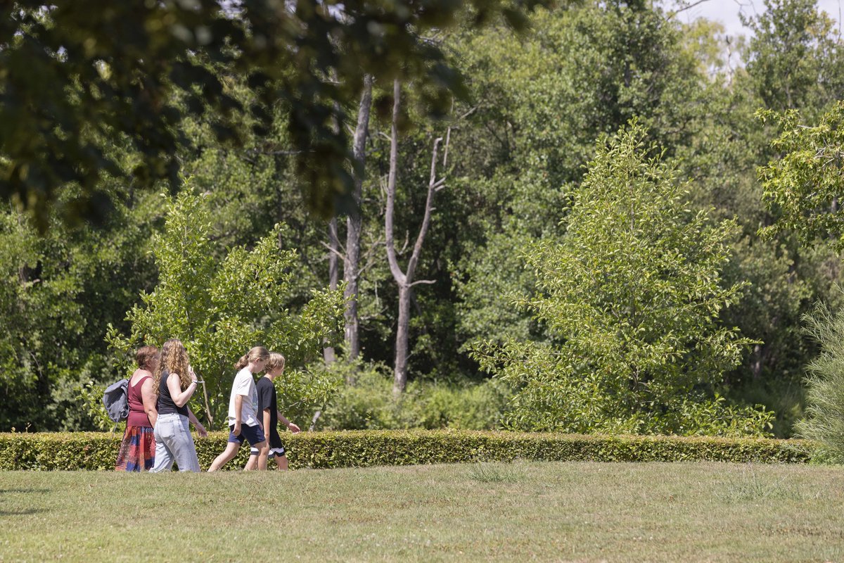 🎉 Ce #weekend, les #hautsdefrance vous réservent une multitude d’expériences :

🌳 sorties nature
🎶 concerts &amp; festivals
🏰 visites patrimoniales
⚽ sport &amp; découvertes

📌 Découvrez notre sélection et préparez vos sorties 👉 hautsdefrance.fr/preparez-vos-s…