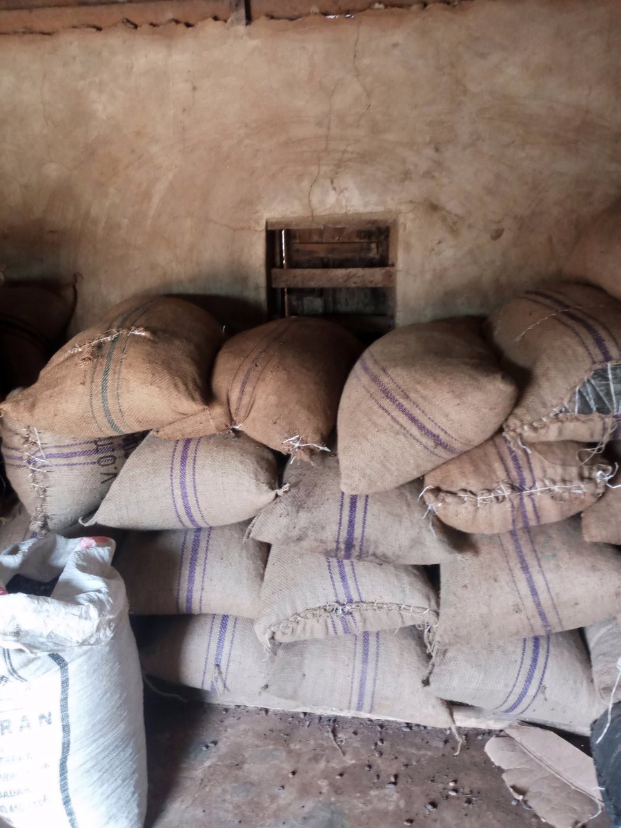 Cocoaworld02's tweet image. Cocoa...my business my passion.
I produce, I buy and I sell.
#cocoafarmer
#cocoabuyer
#cocoabusiness