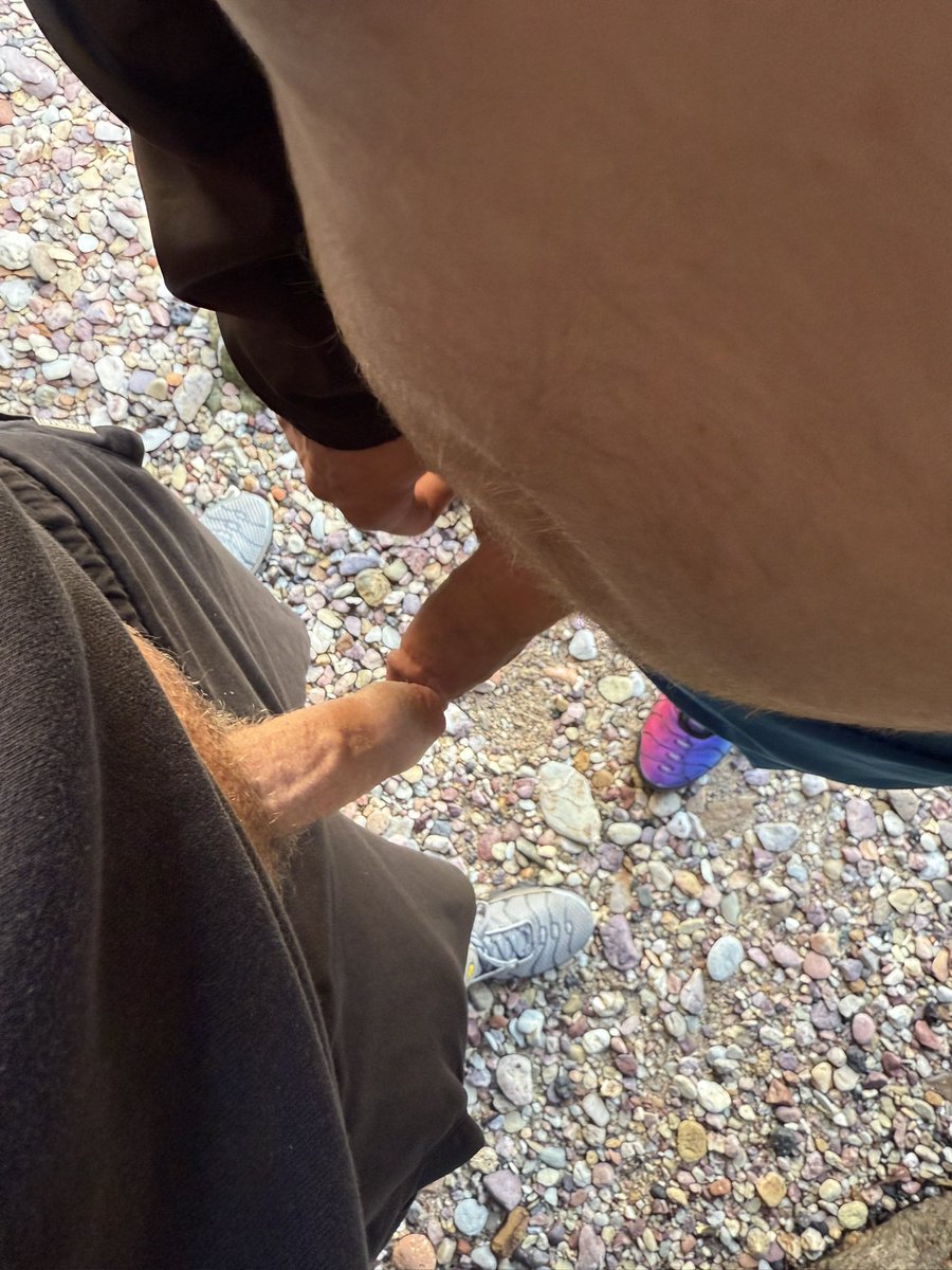 Cock was rock solid at the beach today 😈