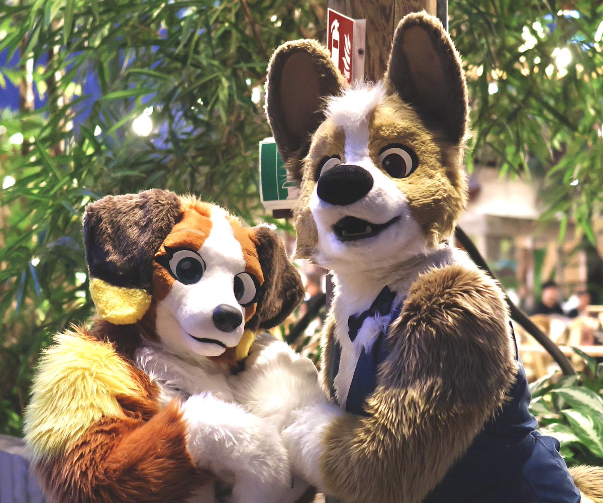 🌴Happy #FursuitFriday from the tropics🌴

Me and <a href="/CorgiTosh/">Tosh Corgi</a> are having a great time here at Tropical furry Islands in Berlin! 

📸: Hypnocam on Bsky