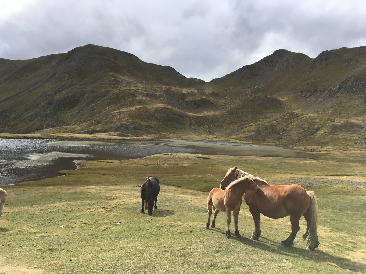 Descobrint el parc National des Pyrénées!! Ple de paisatges preciosos 🌿😮  <a href="/Meteo_Pyrenees/">Météo Pyrénées</a> <a href="/CEC_cat/">Centre Excursionista de Catalunya</a> #Pyrenees #timelapse #pirineos <a href="/P4Estacions/">Projecte 4 Estacions</a> <a href="/RutesPirineus/">Rutes Pirineus</a> <a href="/editorialalpina/">Editorial Alpina</a>