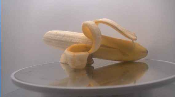 Spinana – The Spinning Banana

A peeled banana is placed on an endless spinning stage, livestreamed as it slowly rots over 30 days. 

At the end, the remains will be auctioned as a one-of-a-kind art relic, with proceeds donated to the charity of the community's choosing. 

Come