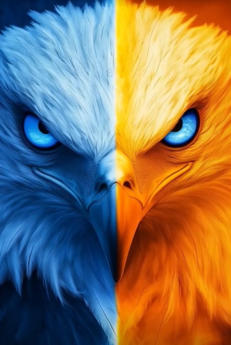 Wayne (@mshsneo) on Twitter photo 