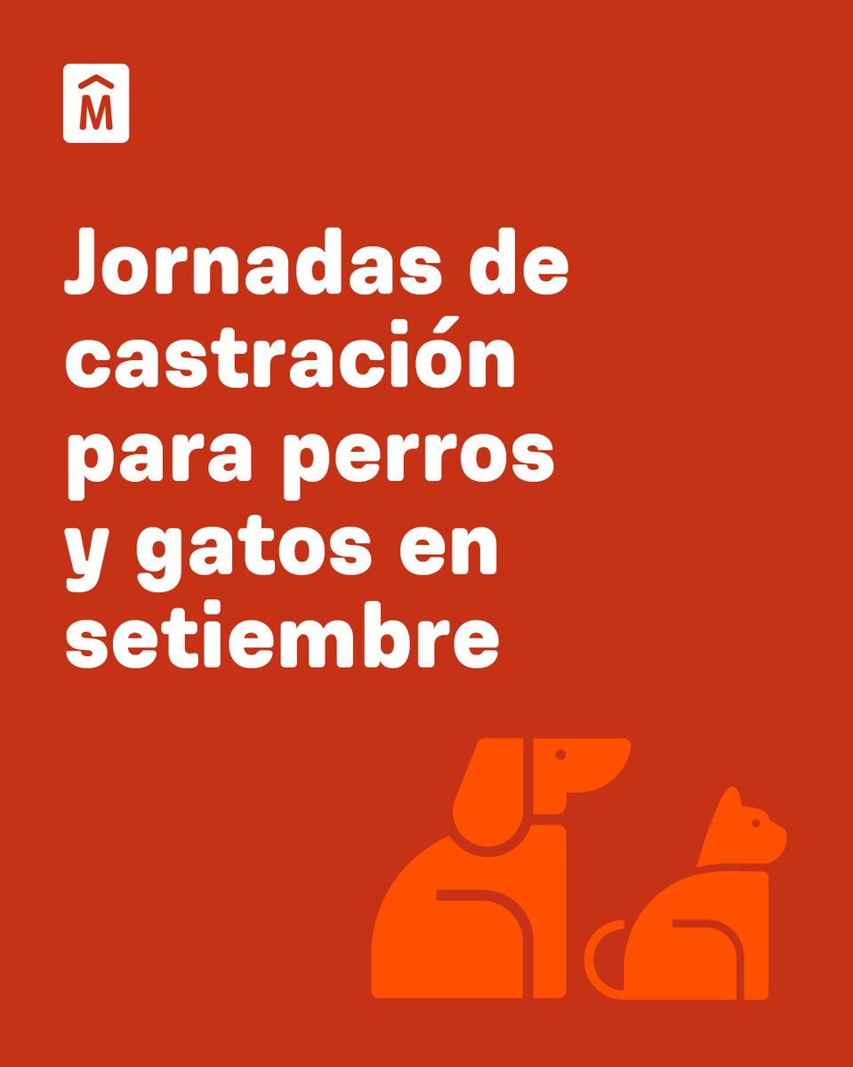 montevideoIM's tweet image. Castraciones gratuitas para perros y gatos 🐶😺

El animal debe tener entre 6 meses y 9 años de edad. Concurrir con 8 horas de ayuno total de agua y alimento. Si tuvo cría, no puede ser castrada hasta 45 días después. 

Fechas y lugares 📲 montevideo.gub.uy/castraciones