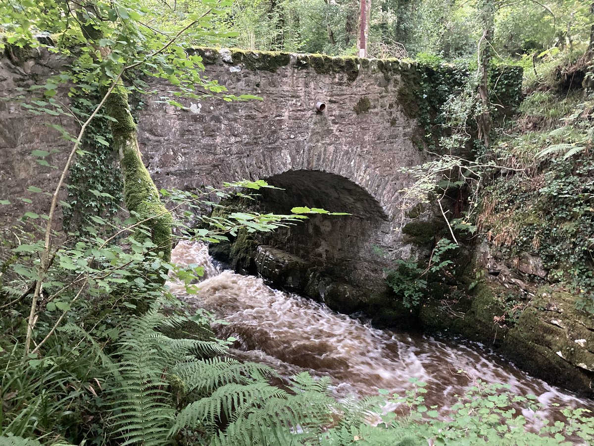 A Friday evening pic for <a href="/TimmyMallett/">Timmy Mallett</a>