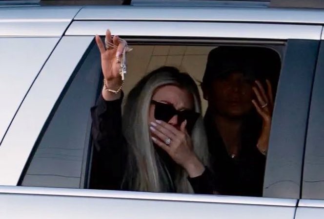 David van Hemelryck 🕊#D tweet media