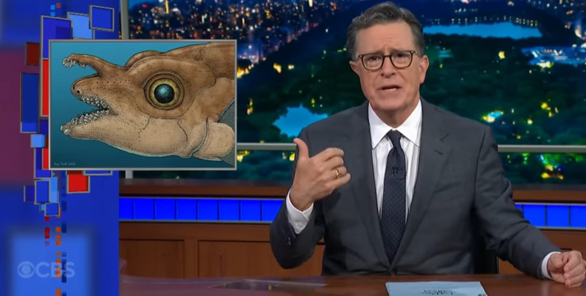 Our <a href="/PNASNews/">PNASNews</a> paper on ghost sharks got a mention on the <a href="/colbertlateshow/">The Late Show</a> last night! I truly never thought I'd see the word 'tenaculum' along with Helodus palaeo-art get the Colbert treatment! 🤩