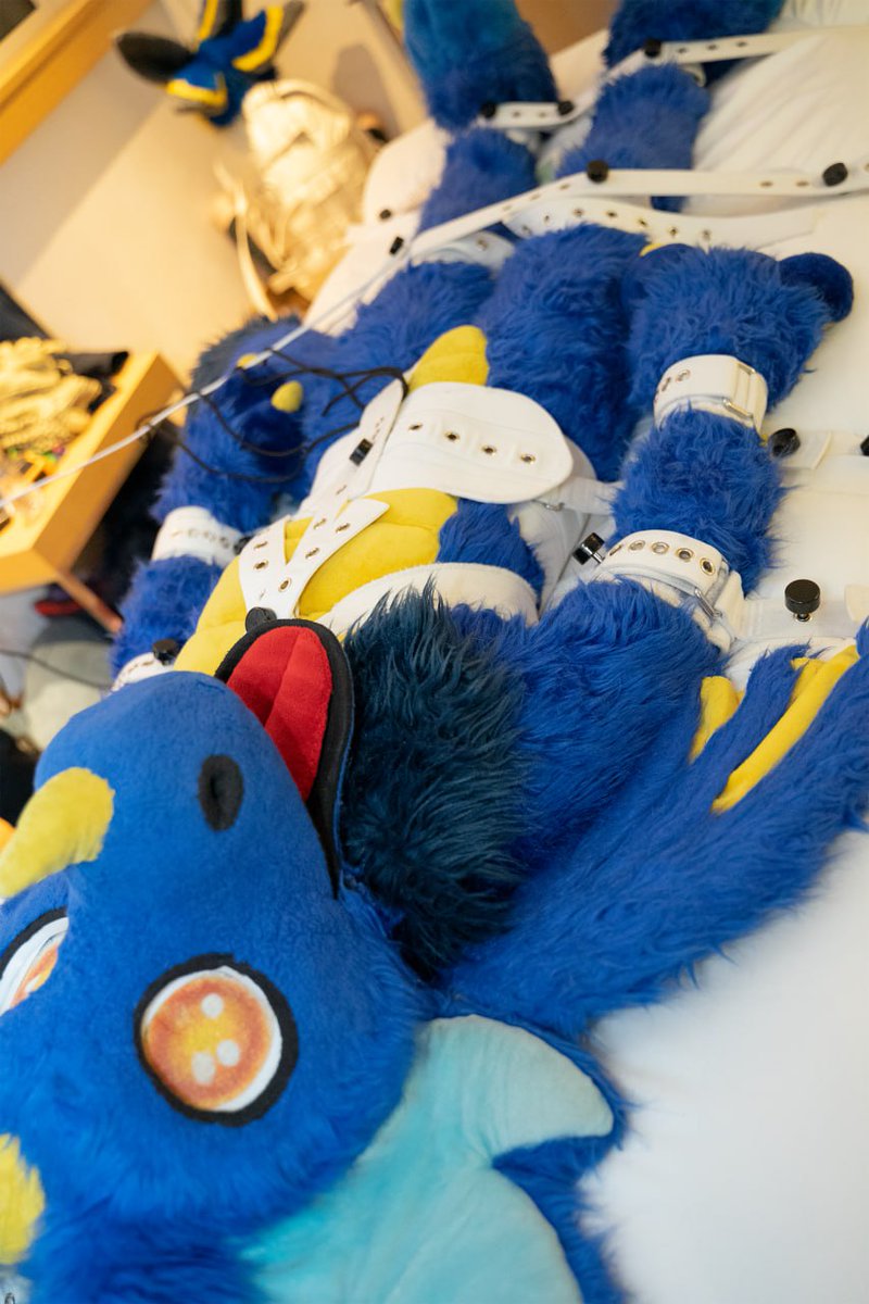 N4ughtyblu3dr4g0n (@n4ughtydr4g0n) on Twitter photo <a href="/definetlynot_AD/">Derp avawi</a> made sure i stayed safe and behave well at eurofurence (thanks for offering your room for a roomparty there!) Also little peak view of <a href="/ilava01raaaM/">๐DA_01raaaM</a> in corner of shame xp <a href="/definetlynot_AD/">Derp avawi</a> made sure i stayed safe and behave well at eurofurence (thanks for offering your room for a roomparty there!) Also little peak view of <a href="/ilava01raaaM/">๐DA_01raaaM</a> in corner of shame xp