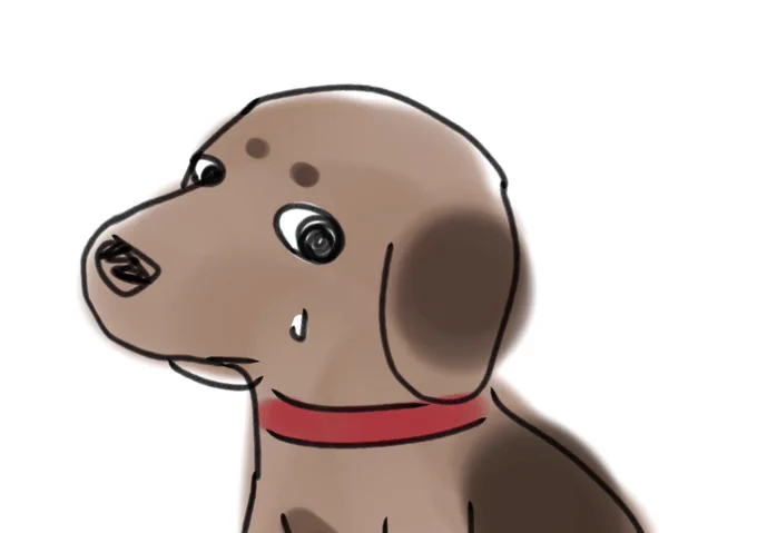 犬が悪さしたり犬見知りしたりしてる時のこういう気まずそうな表情すき