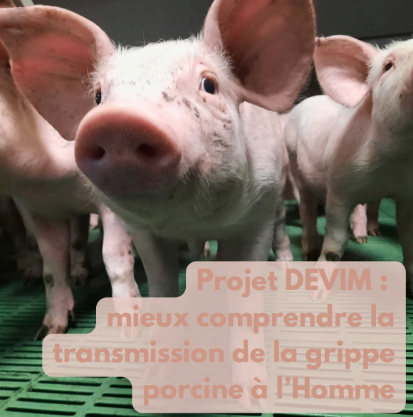 La Coopération Agricole Pôle Animal tweet media
