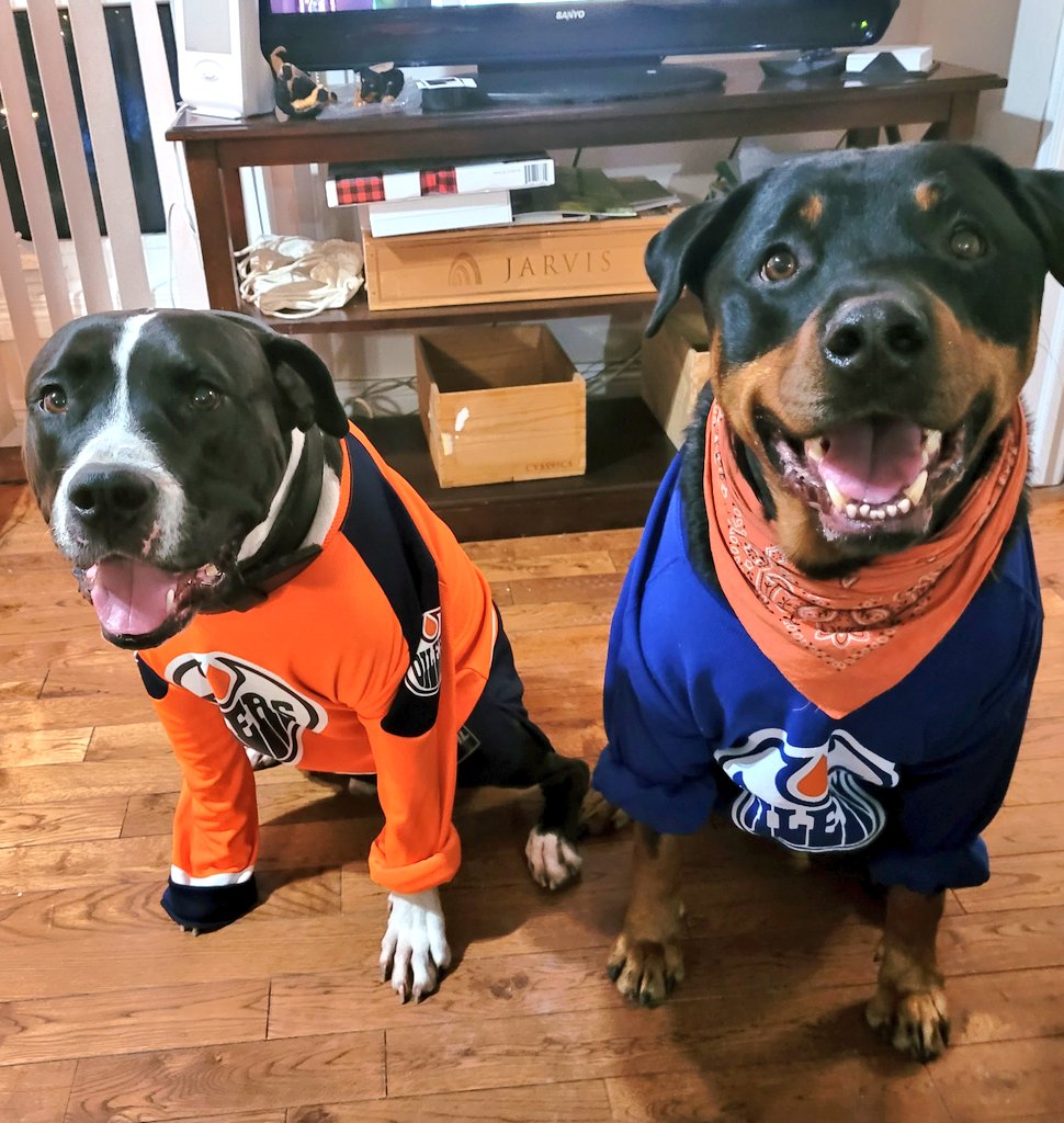 Team Servicerottie🇨🇦🐕‍🦺🦽 tweet media