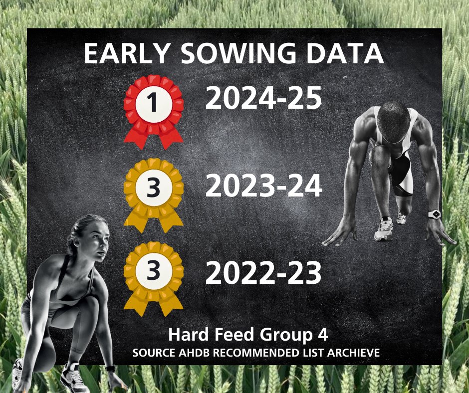 🌾 Thinking about early drilling? Let the results speak for themselves. 💪
Champion continues to live up to its name as a consistently high-yielding variety and it's proven in the field.
