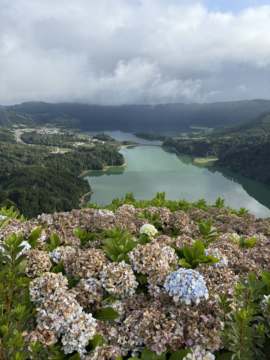 GeomarResearch's tweet image. Volcanes en límite de placas, erupciones freatomagmáticas, pómez, calderas, lagos, fuentes hidrotermales, emisiones naturales de CO2, eso y mucho más en las salidas de campo del XIV Congreso Ibérico de Geoquímica (São Miguel, Azores) obrigados!!!🗺️⚒️🌋