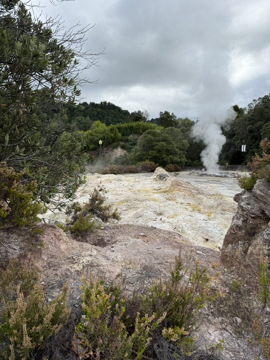 GeomarResearch's tweet image. Volcanes en límite de placas, erupciones freatomagmáticas, pómez, calderas, lagos, fuentes hidrotermales, emisiones naturales de CO2, eso y mucho más en las salidas de campo del XIV Congreso Ibérico de Geoquímica (São Miguel, Azores) obrigados!!!🗺️⚒️🌋