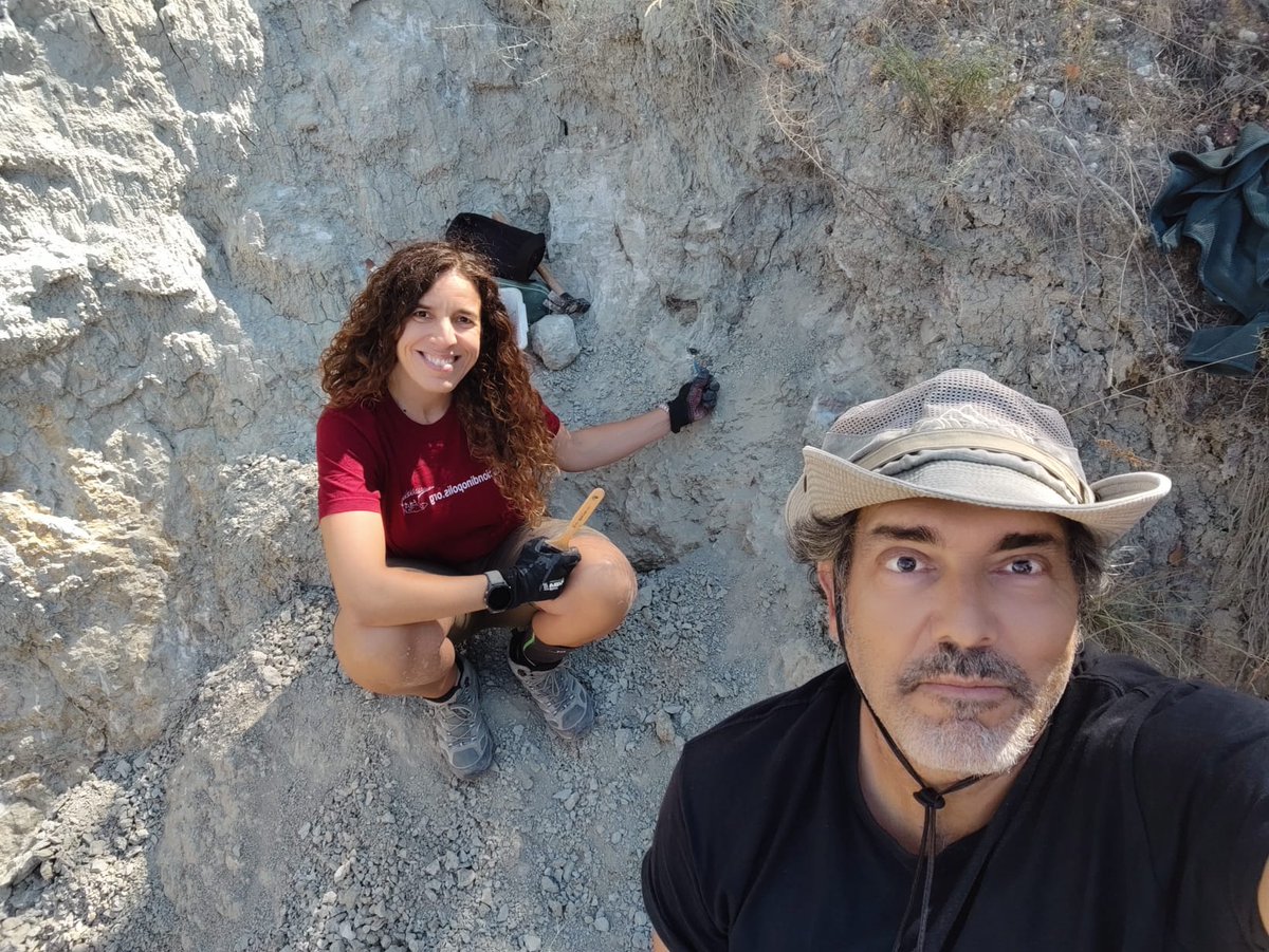 Manuel J. Salesa 🦴🐺🦓🦝🐯⛏ tweet media