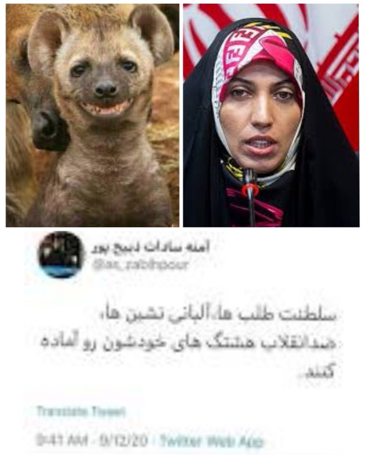 فردا میشه ۵سال 
و یادمون باشه  نوید گفت :
اگر من اعدام شدم بدونین این آخرین ایرانی بیگناهی نیست که سرش بالای دار میره ، ...
و همچنان حیدر حیدر کنان ...
#نوید_افکاری