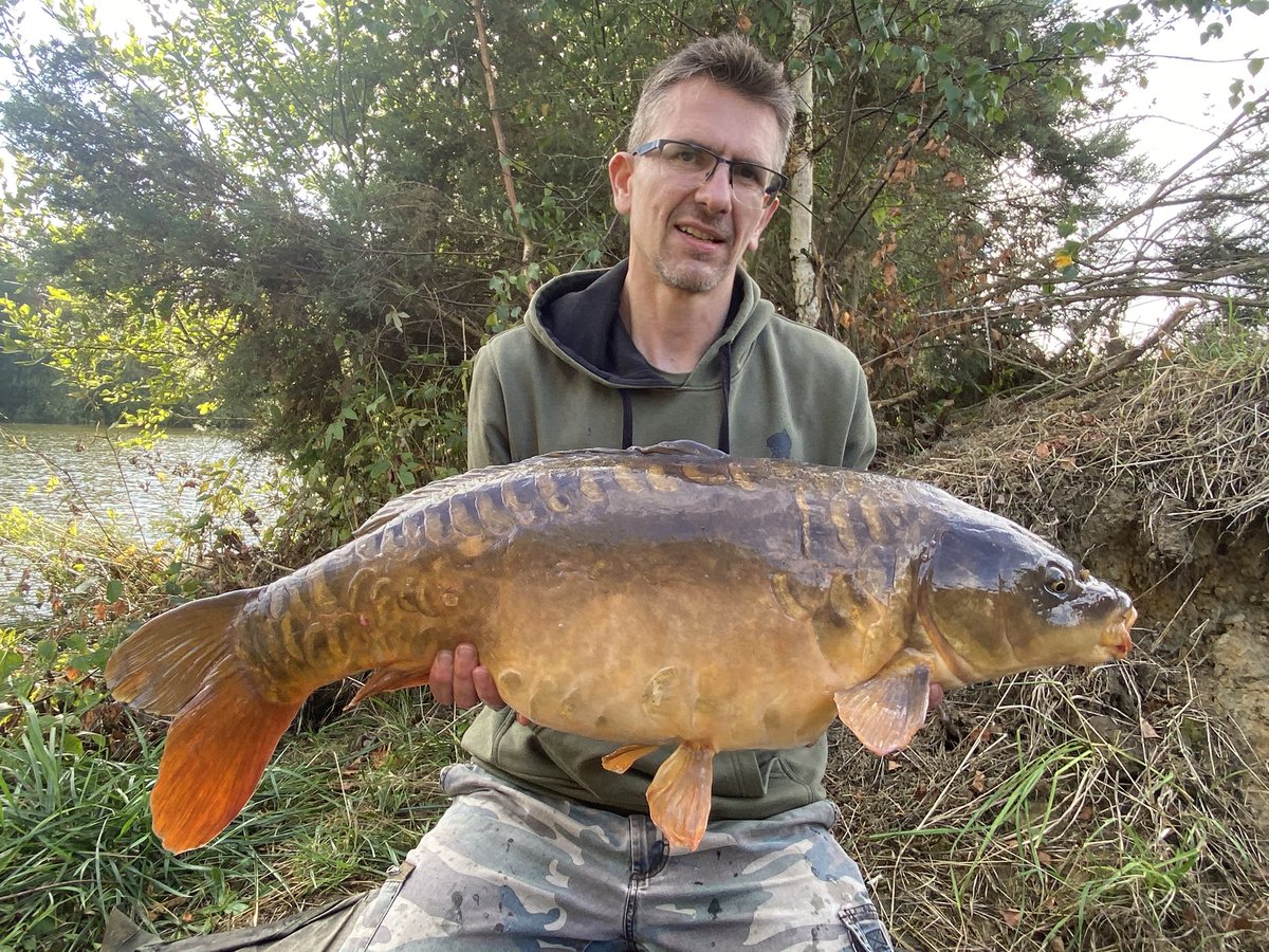 Ross Clarke tweet media