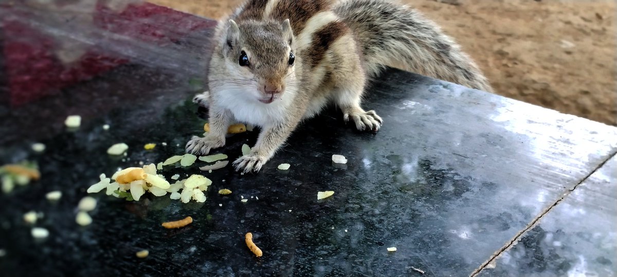 Abhi Yadav tweet media