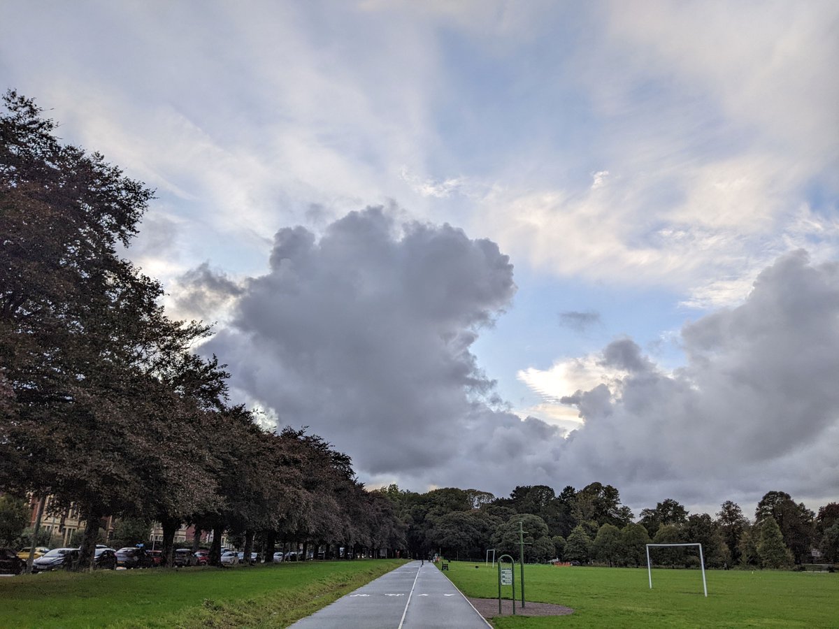 Mari Biscuits tweet media