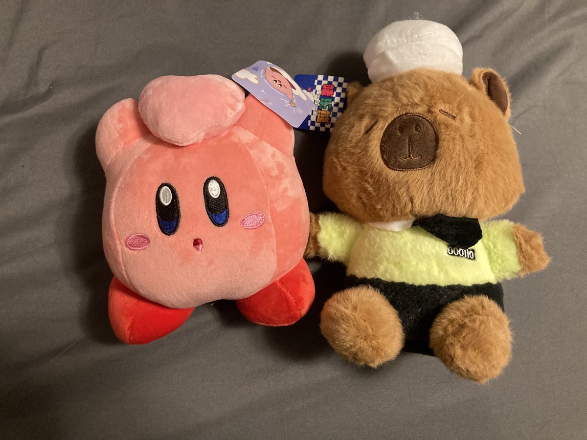 imfirebyte's tweet image. New claw machine place opened up so I got Kirby 😀