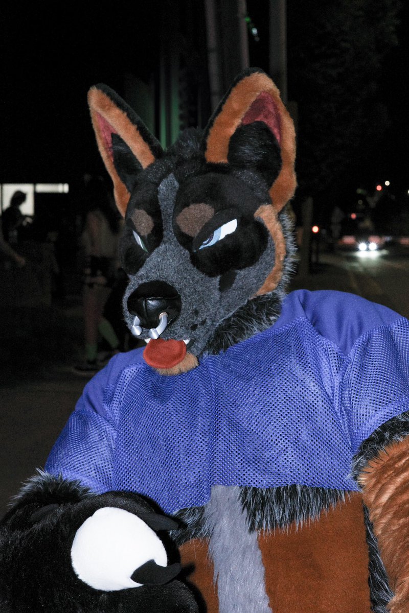 #fursuitfriday is my favorite day because that means I don’t have to wake up at 5:30am tomorrow arooofff