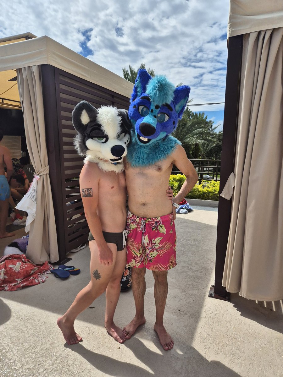 Here with another Jano 

📸: <a href="/HyenaHospital/">❤️ CORVO 🖤</a> 

#FursuitFriday