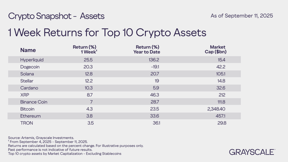 💎 nbp 💎🪝 (@nothinbutprofit) / Posts / X