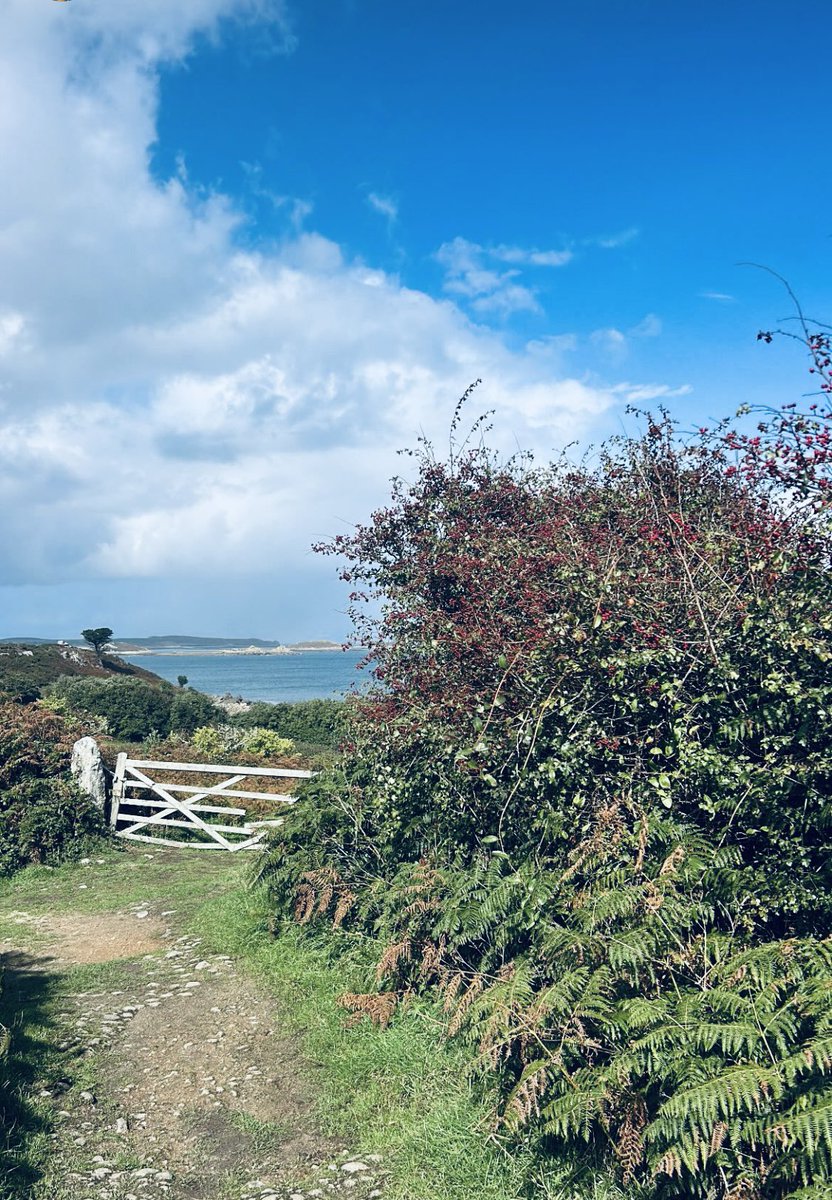 Rebecca Baldwin tweet media