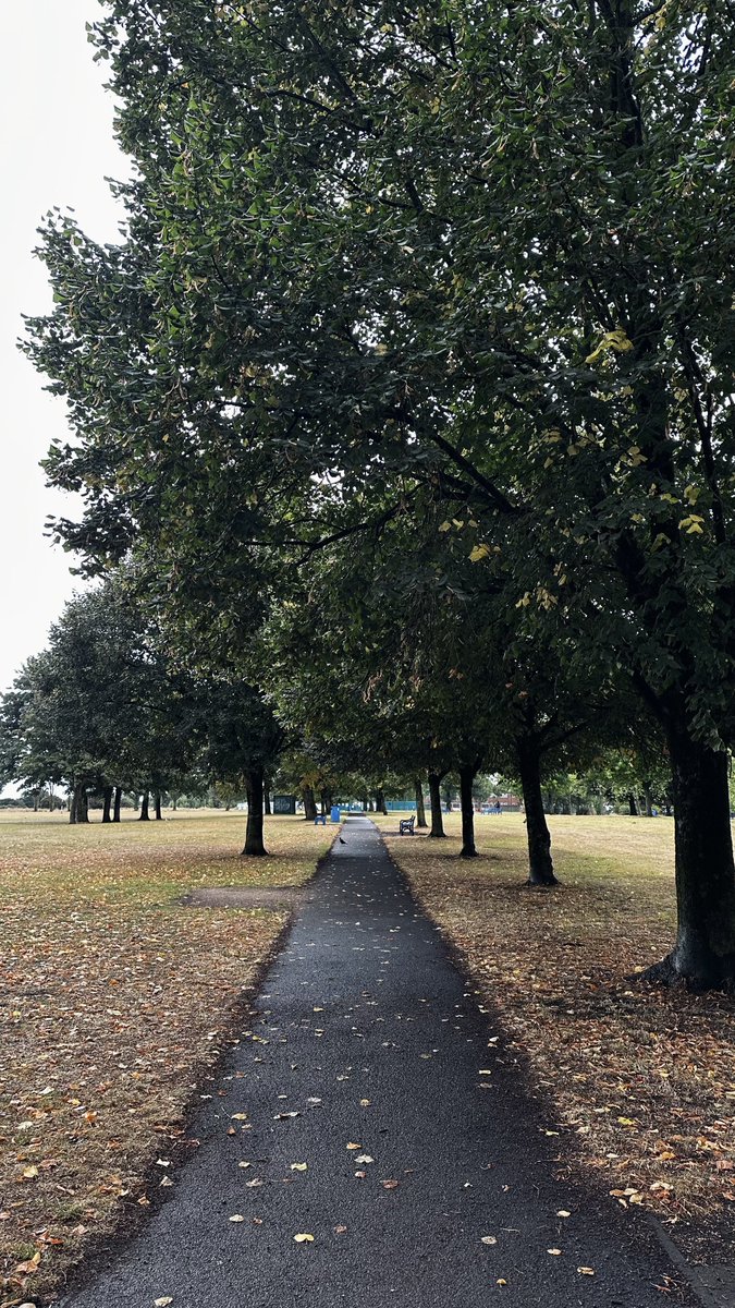 autumn is almost here