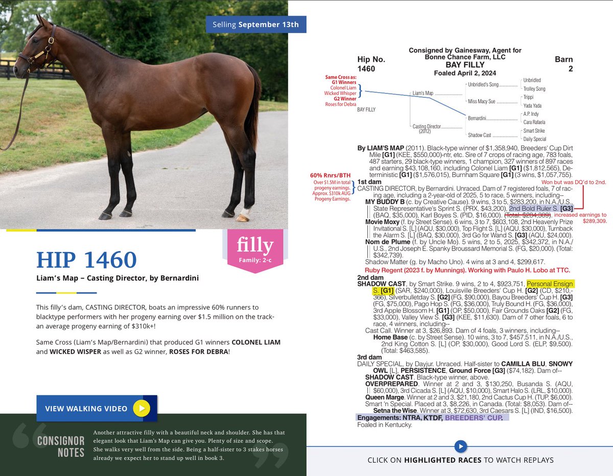 Book 3, Day 1 #BonneChanceBred yearlings currently showing at the <a href="/Gainesway/">Gainesway</a> consignment in Barn 2! Three top quality fillies from active families w/ top physicals to back them up! Selling tomorrow 9/13! See walking vids &amp; interactive pedigrees at issuu.com/studio34p/docs…