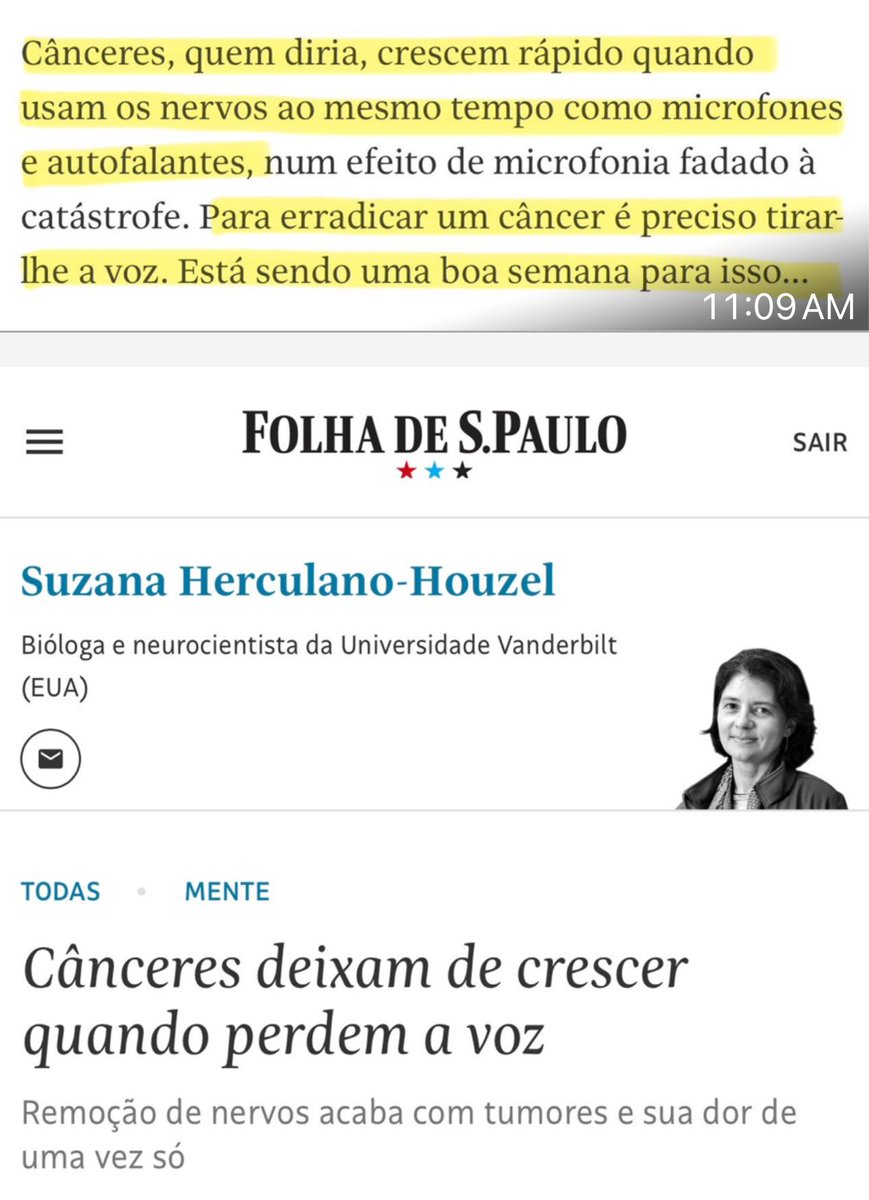 Ana Paula Henkel (@anapaulavolei) on Twitter photo <a href="/DeputySecState/">Christopher Landau</a> This is a Brazilian neuroscientist working (or teaching) at Vanderbilt University. After the unfair trial of Bolsonaro and the murder of Charlie Kirk, she stated in the article published in a big outlet in Brazil:
"Cancers, who would have thought, grow so fast when they use <a href="/DeputySecState/">Christopher Landau</a> This is a Brazilian neuroscientist working (or teaching) at Vanderbilt University. After the unfair trial of Bolsonaro and the murder of Charlie Kirk, she stated in the article published in a big outlet in Brazil:
"Cancers, who would have thought, grow so fast when they use