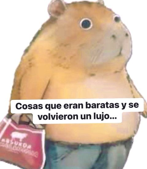 🇲🇽 México Mágico ✨ tweet media