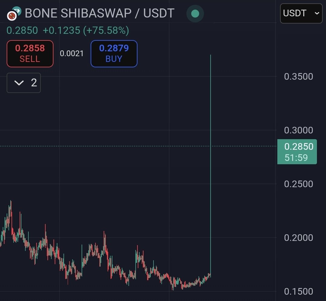 army_shiba's tweet image. $BONE is Back

+100% Pump. Insane 🚀