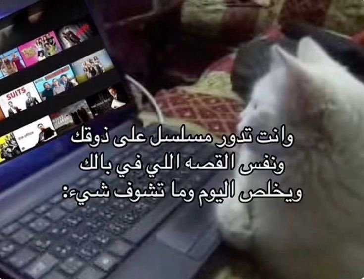 S M S M (@yourfavsmsm) on Twitter photo 