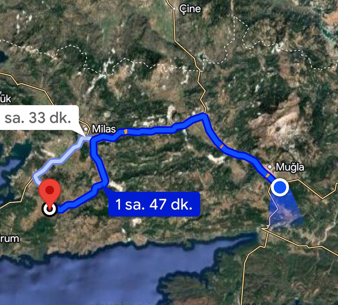 Gozde B tweet media