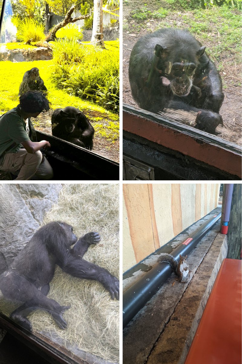 🇵🇷🇵🇸🇸🇩🇨🇩🇺🇦 Andre Rivera Art tweet media