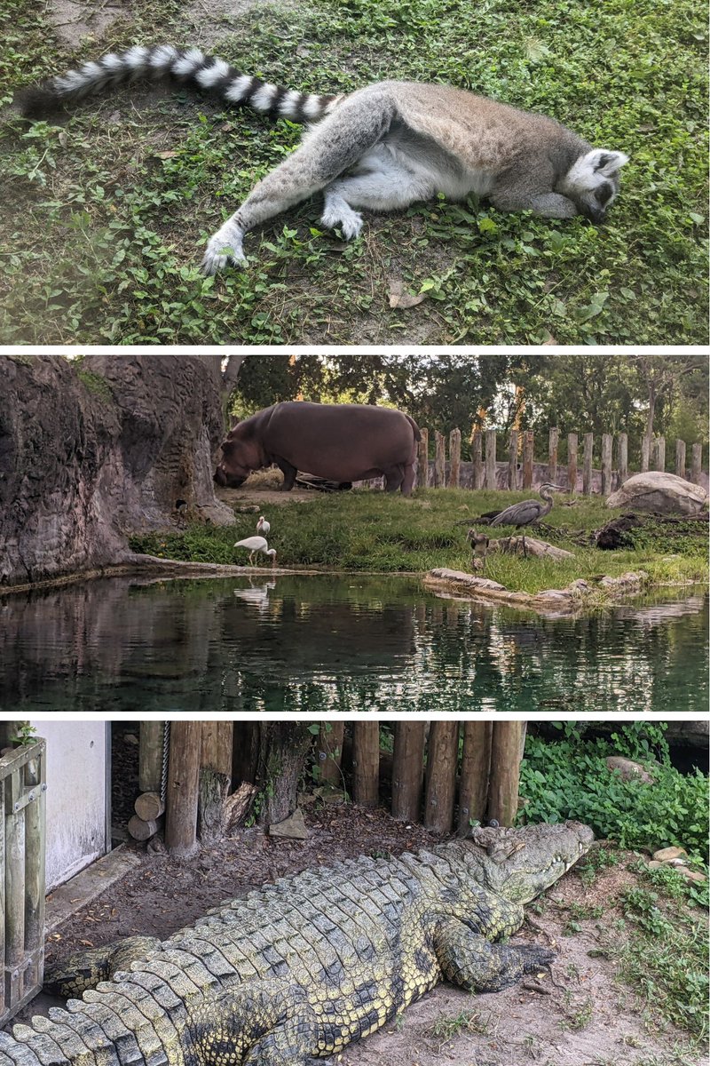 🇵🇷🇵🇸🇸🇩🇨🇩🇺🇦 Andre Rivera Art tweet media