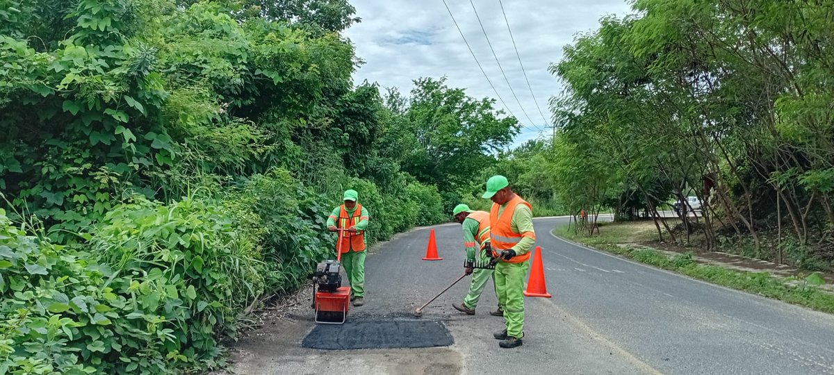sietediasoaxaca's tweet photo. #Entérate | La @SICT_Oaxaca realiza trabajos de conservación en la ruta alterna habilitada por trabajos de modernización del tramo #Pochutla–Huatulco, que inicia en Carr Fed 200–#Huatulco–Huatulco–Sn Isidro #Apango–Sn Miguel Figueroa–Sn Pedro Pochutla.

⏩https://t.co/4pCo5ESA17 https://t.co/Tr2VAcC1oc