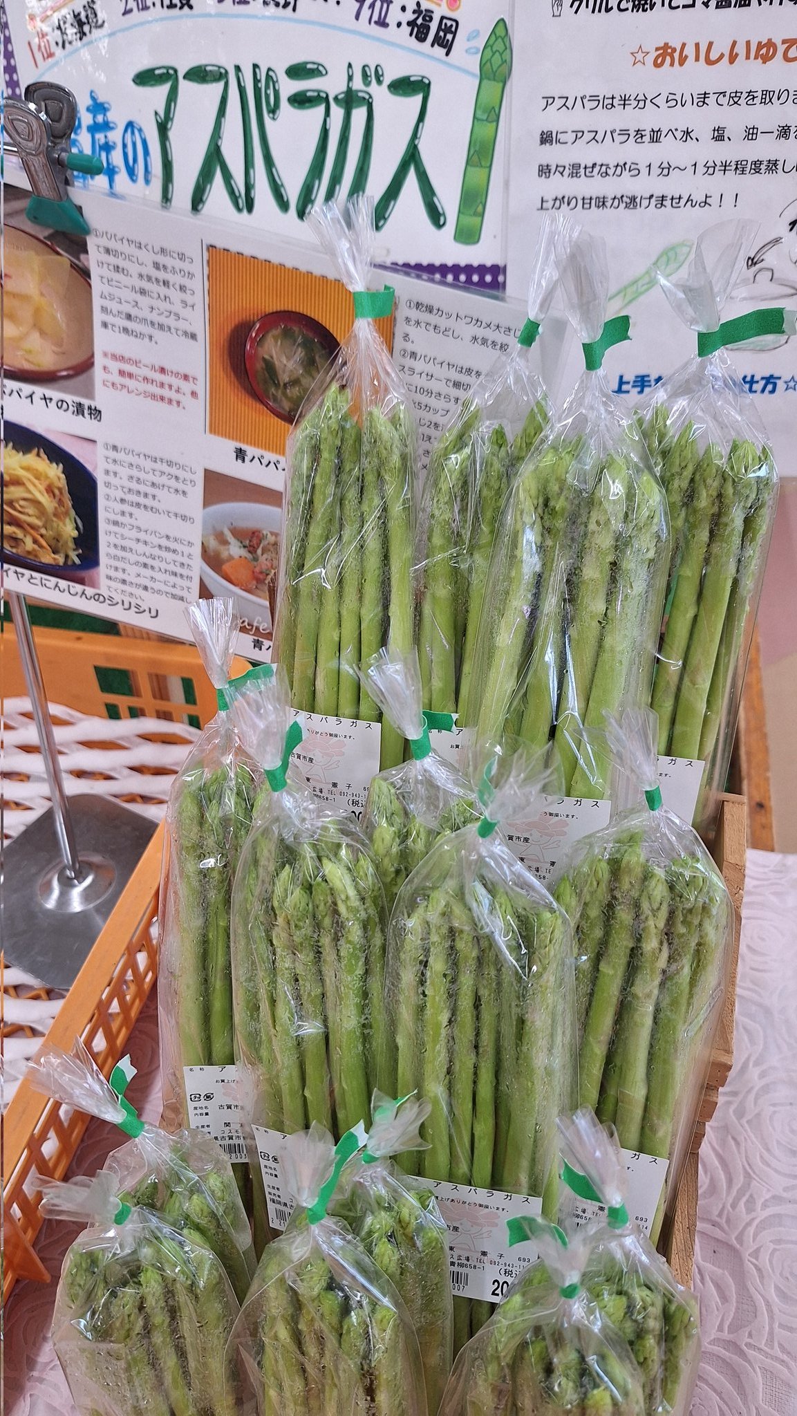 博多ちぇすめだか ハピネスめだか｜メダカ繁殖・販売は当店にお任せ下さい。常時