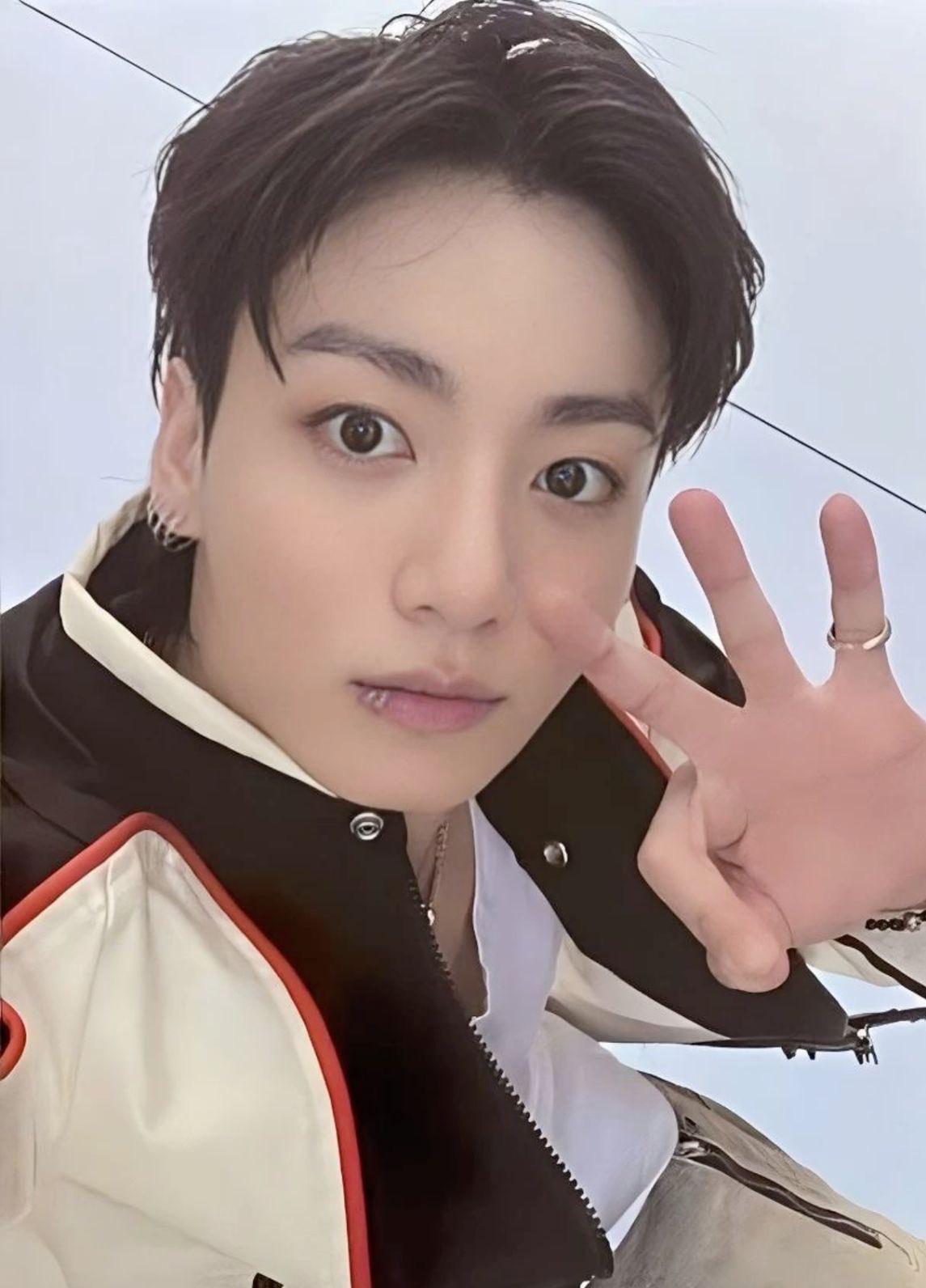 𝓣𝓲𝓰𝓮𝓻 𝓛𝓲𝓵𝔂 JK🐰💜GCVT① on X: 
