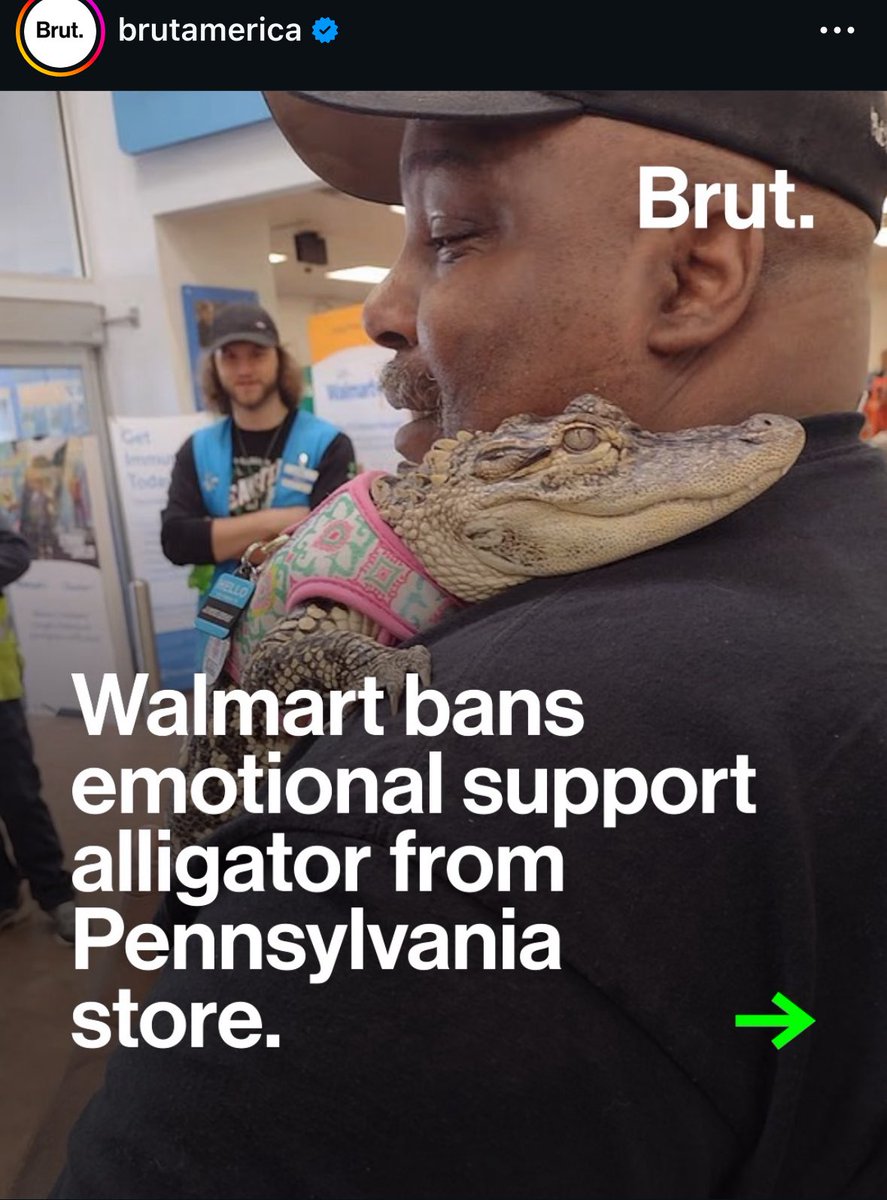 Difficult Woman tweet media