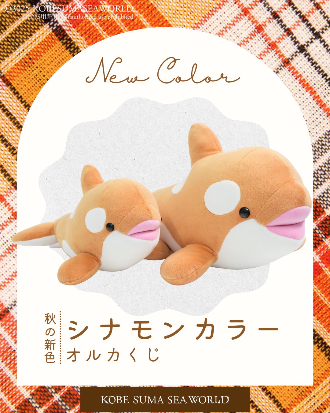 【最終値下げ】須磨シーワールド オルカくじ 1等 1周年限定色 神戸須磨シーワールド on X: 