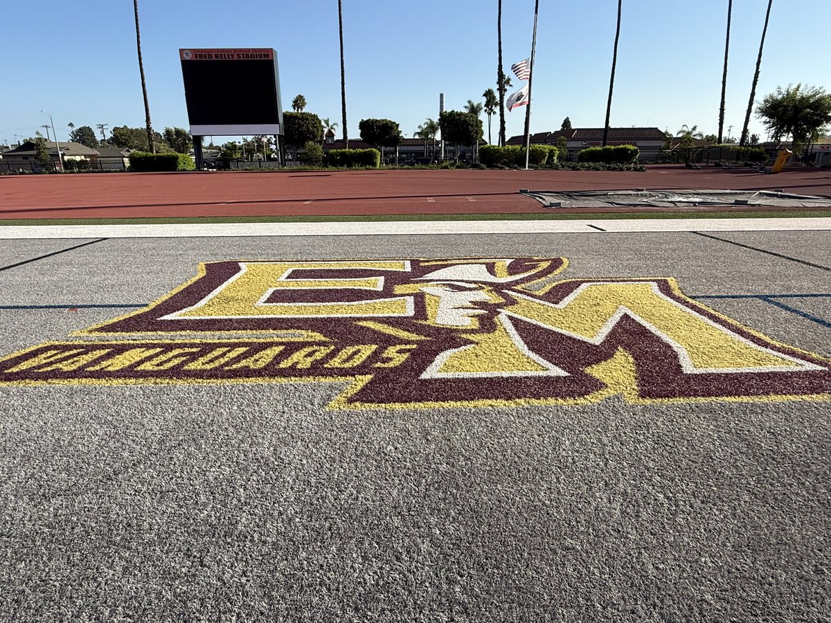 Fernando M. Donado tweet media