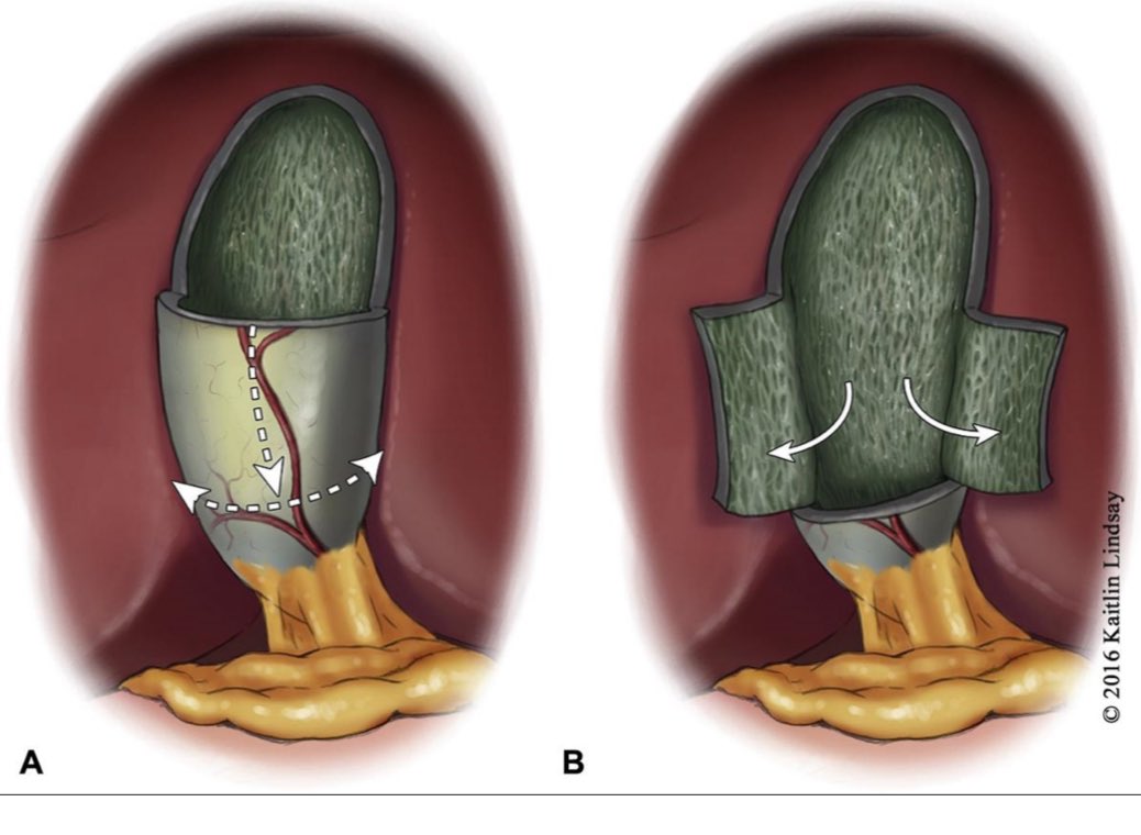 S. Arshia Arshad, MD, MS tweet media