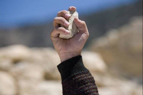 Theonomy tweet media