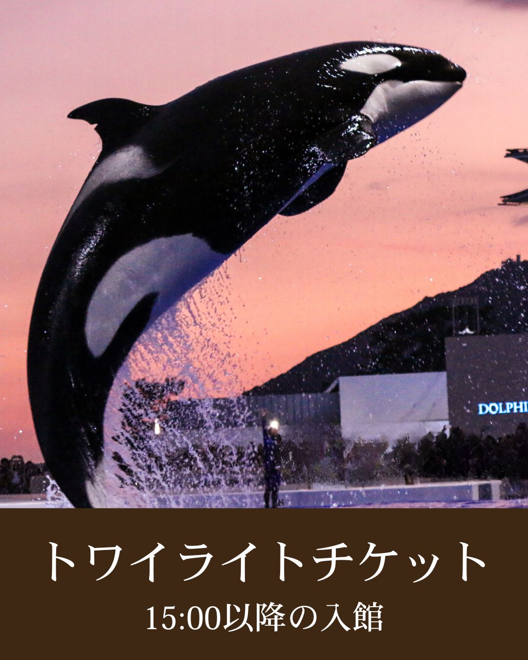 チケット お知らせ】2023-24シーズンチケット販売概要決定について | 青森