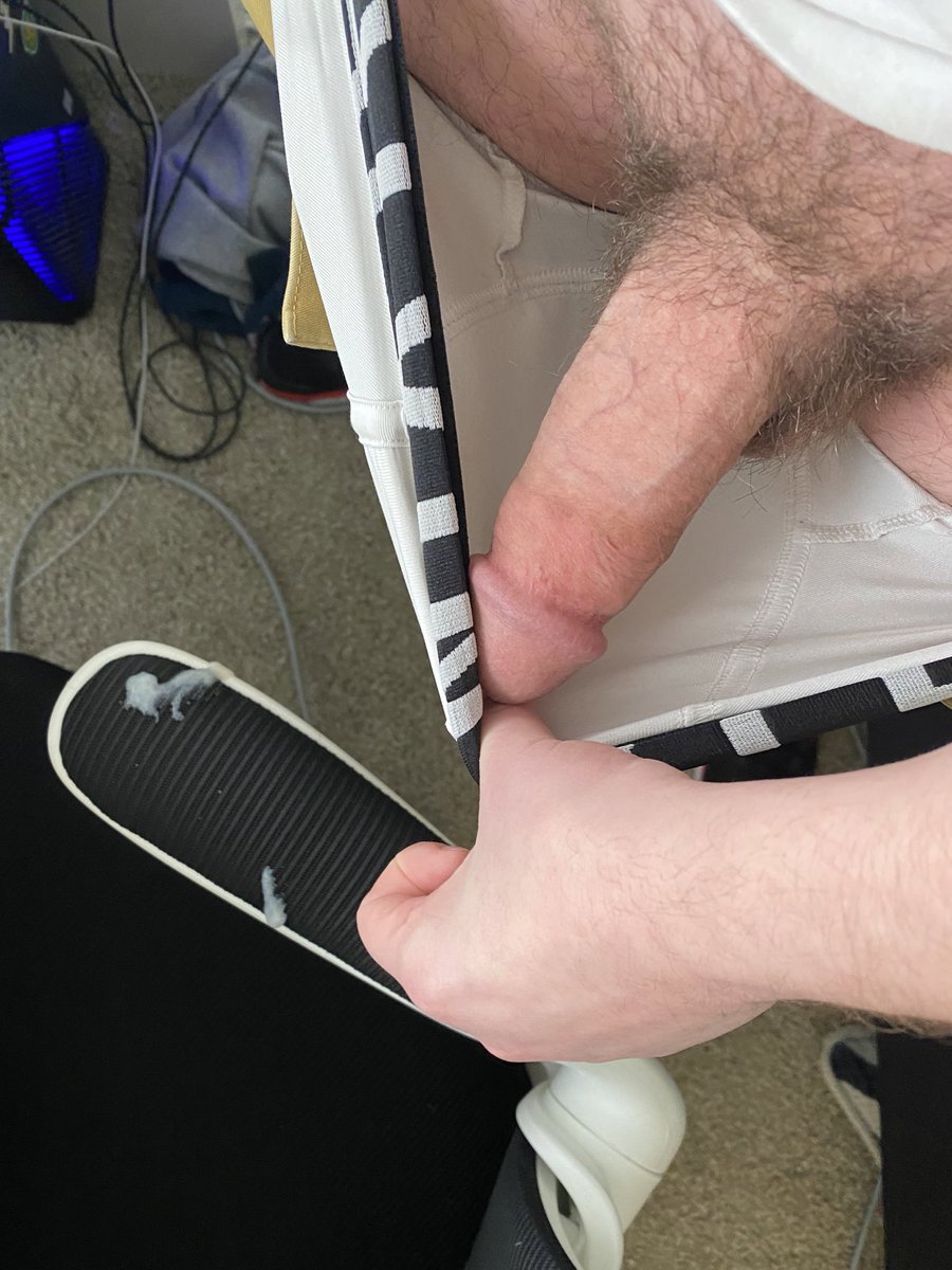 did y’all see the 5 new mega pokemon revealed today?? Pretty sick stuff