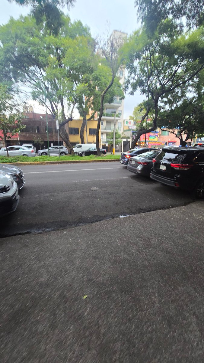 isra_st's tweet photo. @OVIALCDMX podrian ayudarnos a retirar múltiples vehículos estacionados sobre avenida vertiz entre san borja y eje 6 en la @BJAlcaldia @UCS_GCDMX https://t.co/dnt8M2jmE5