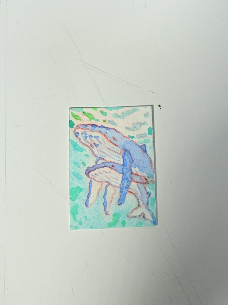 김구구 tweet media